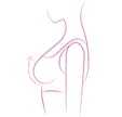 尊容美润